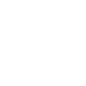 white logo strevinas